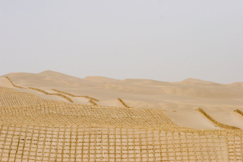 Desert Control, (251)